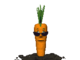 cool_carrot_md_clr_7175.gif