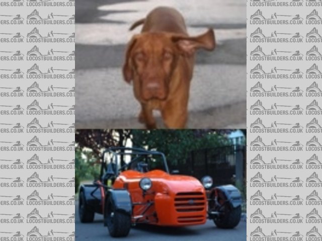 Stage 4 of our build 2009-08