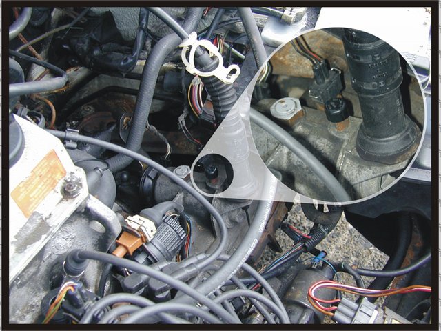 Rescued attachment filler_800x605.jpg