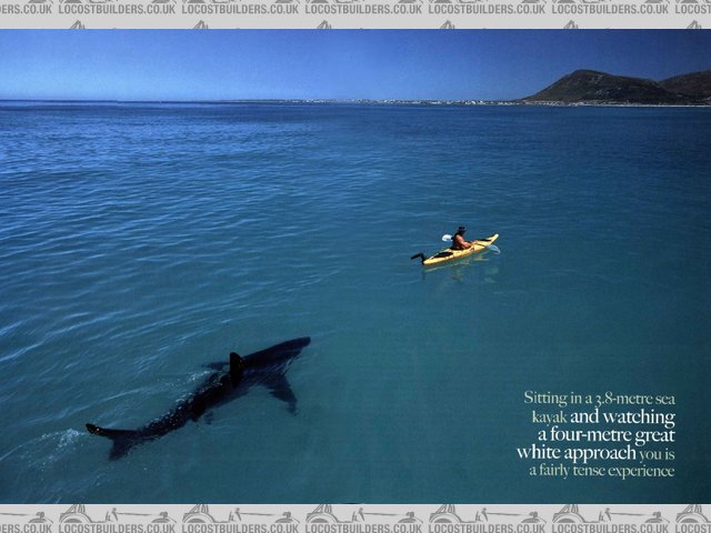 Rescued attachment CapeTown.jpg