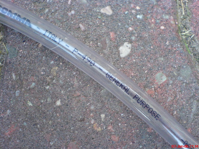 Rescued attachment DSC00294.JPG