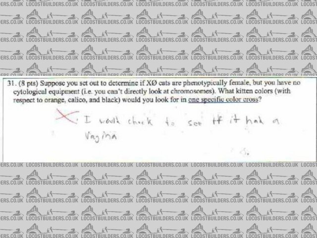 Rescued attachment batman2.JPG