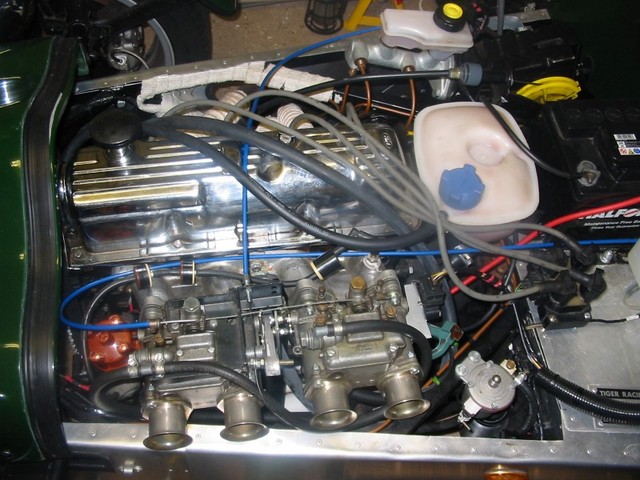 Rescued attachment pinto1.jpg