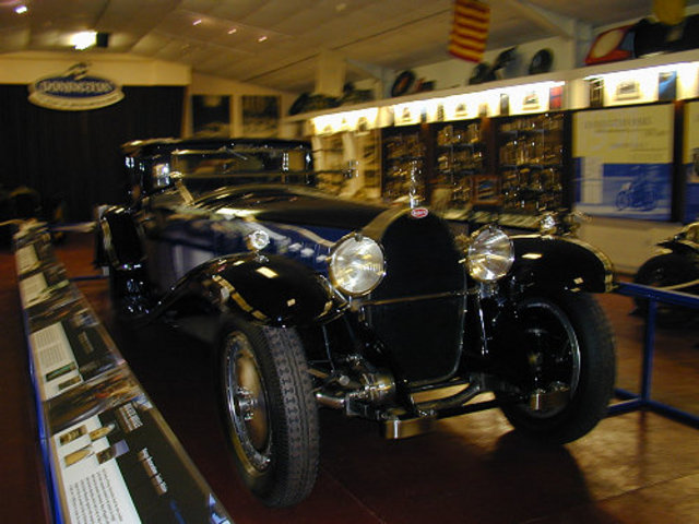 Rescued attachment bug.jpg