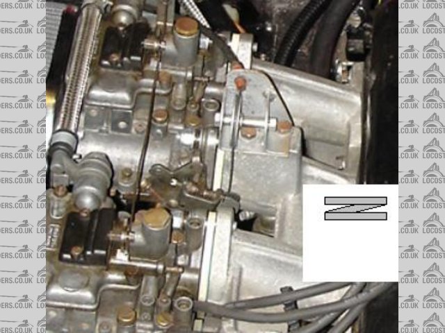 Rescued attachment thackery.JPG