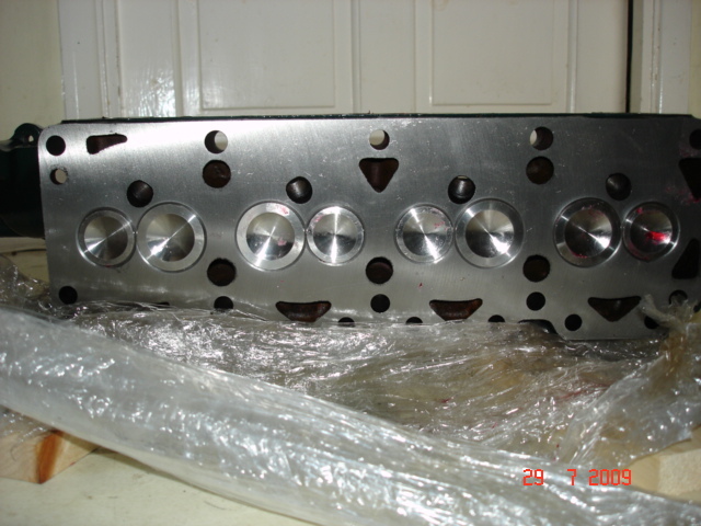 Rescued attachment DSC04792.JPG