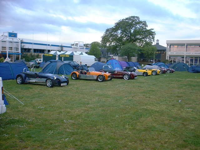 A rose amongst the thorns