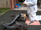 8_-_more_rear_axle_stripping.jpg