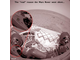 Mars-Rover-failure-1.jpg