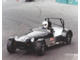 MyKitCar-resize1.jpg