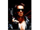a1178731-the-terminator.jpg