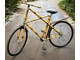 a156234-BambooBicycle.jpg
