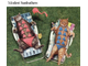 a214505-Photo7Sunbathers.jpg