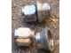 a383925-nut.JPG