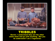 demot-tribbles.jpg