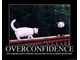 overconfidence.jpg