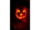 pumpkin-toothy-sm.jpg