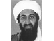 terbinladen.jpg