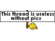 this_thread_is_useless_without_pics.gif
